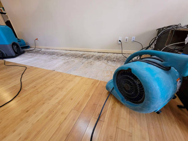 Professional Structural Drying technician working in Dallas, TX